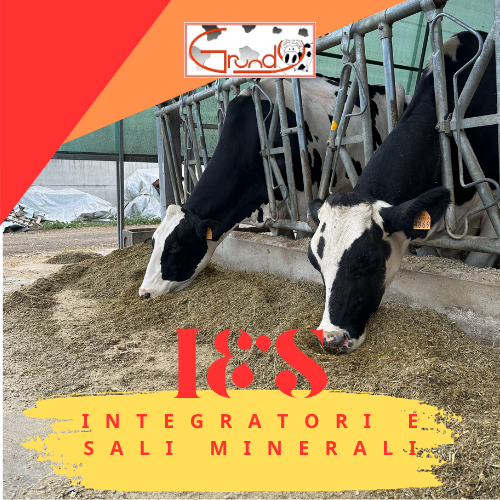 Integratori e Sali minerali